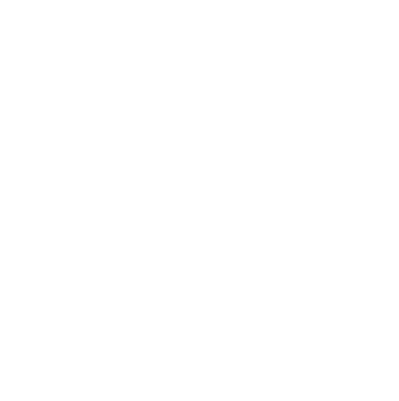 https://www.peppler.de/media/34/b6/f6/1712929386/Digital_Glyph_White.png?ts=1720619688