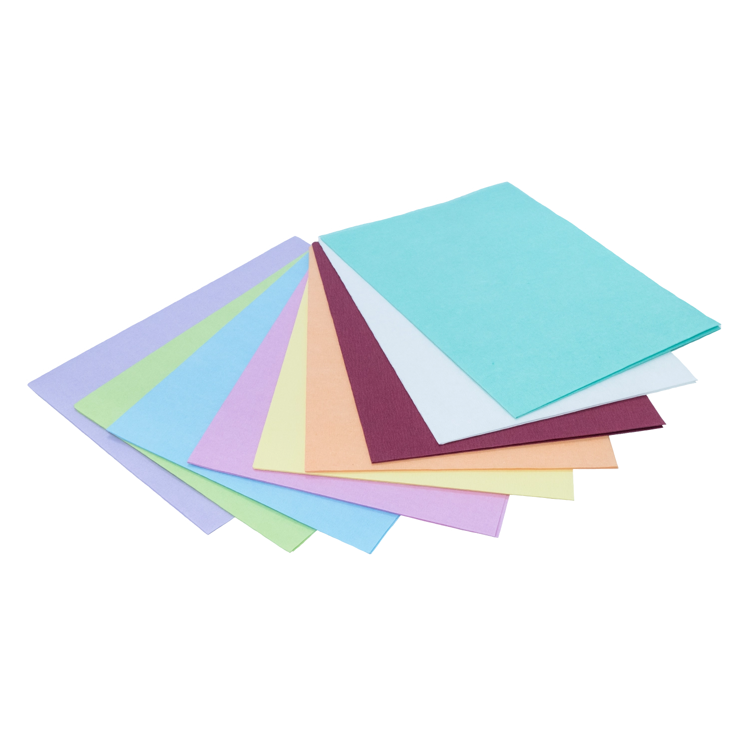 Filterpapier | Norm Tray Einlage